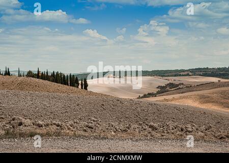 Sunny summer view of small trees forest among fields. Beautiful day panorama of Tuscany landscape, near San Quirico d`Orcia in Val d`Orcia Stock Photo